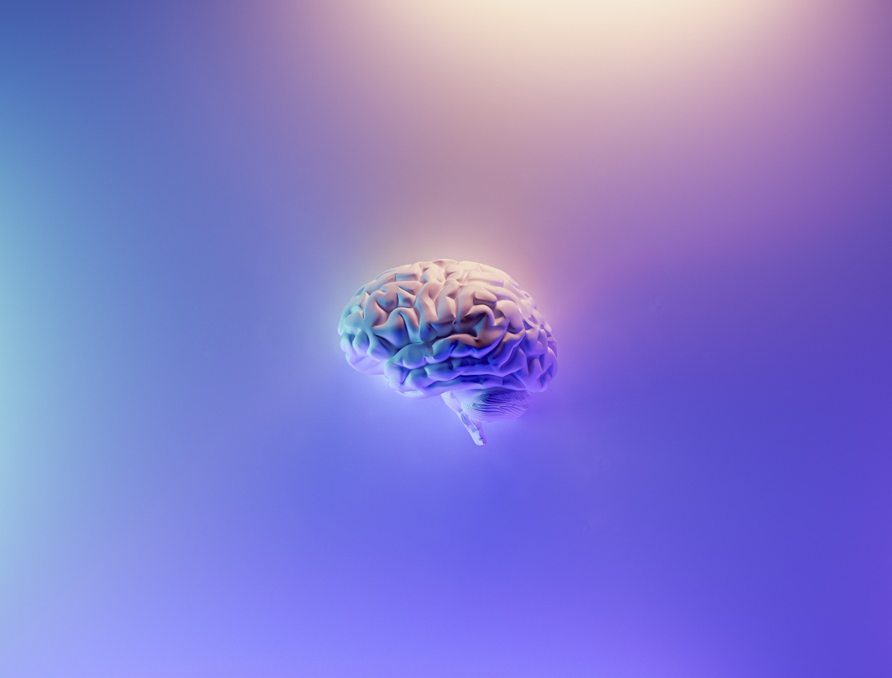 Artificial Intelligence Engineering Program: Frequently Asked Questions and Answers